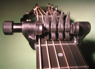 Spider Capo